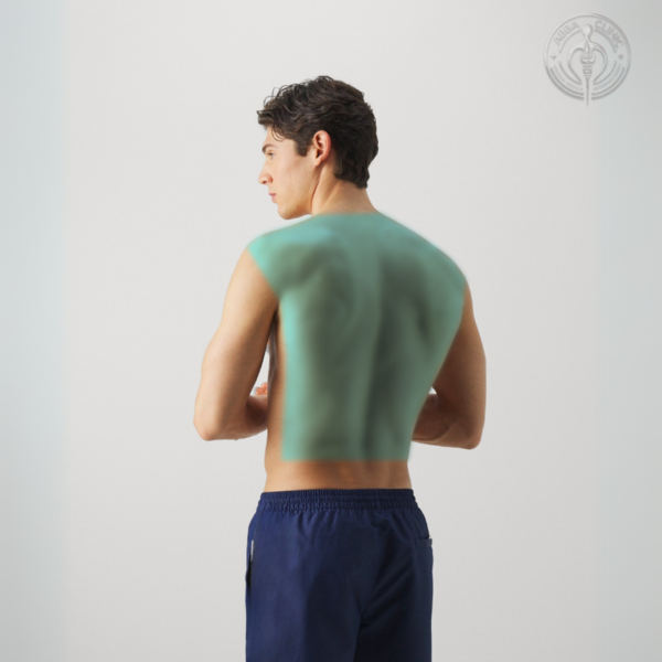 Pack Hombre - Pectorales+espalda - Imagen 2
